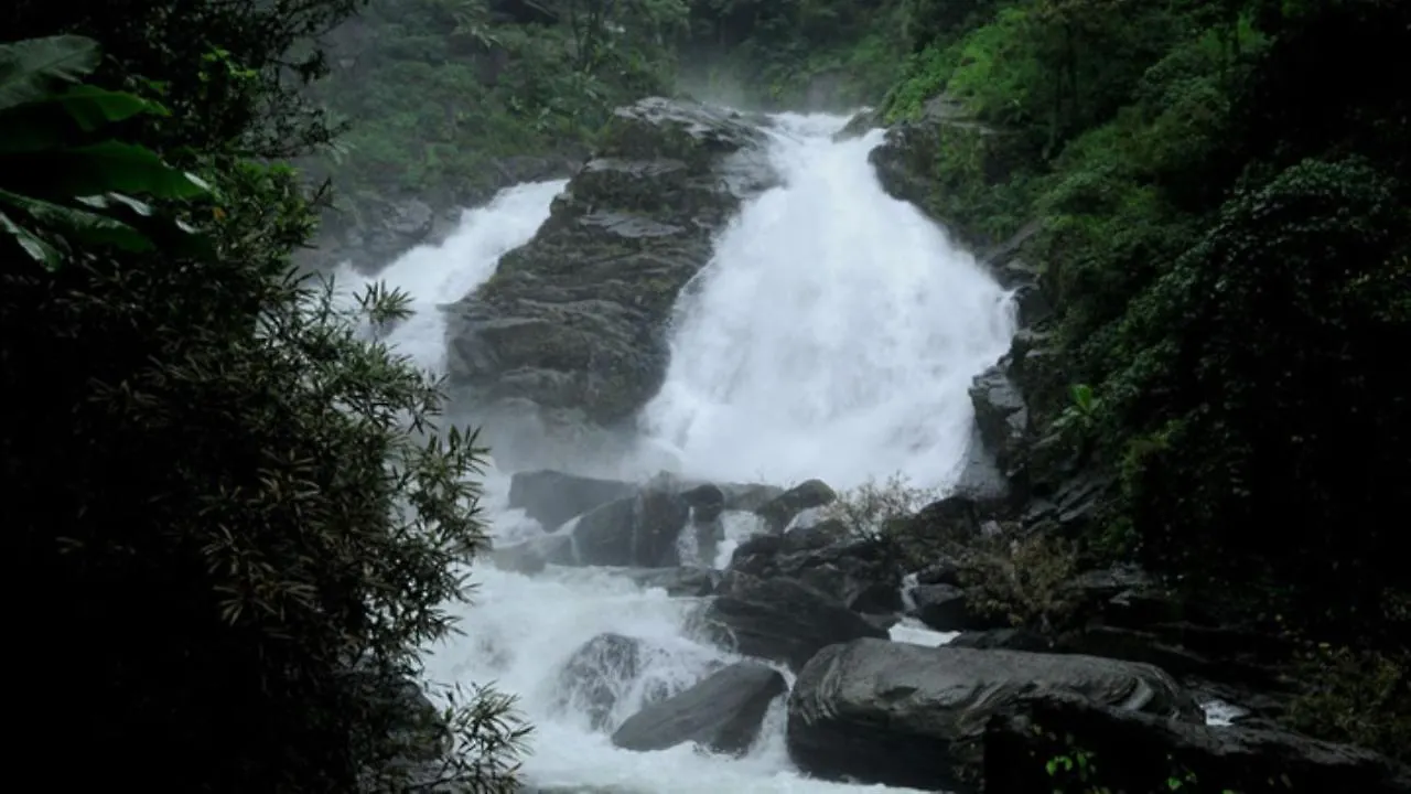 Greens Vista Wayanad - Premium Homestay Near Natural Stream Panamaram
