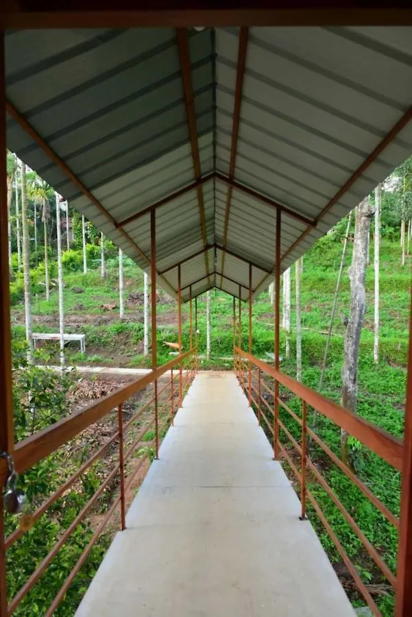 Apartment Greens Vista Wayanad - Premium Homestay Near Natural Stream Panamaram