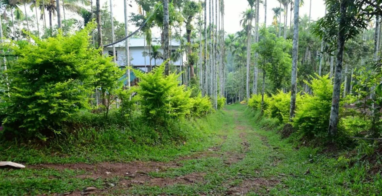 Greens Vista Wayanad - Premium Homestay Near Natural Stream Panamaram