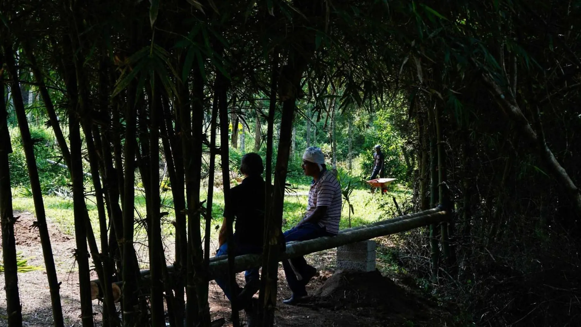 Greens Vista Wayanad - Premium Homestay Near Natural Stream Panamaram Apartment